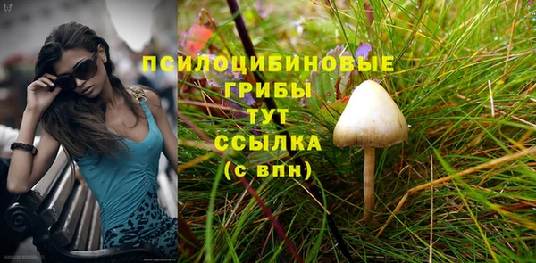 скорость Алексеевка