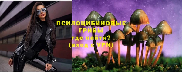мяу мяу кристалл Алексин